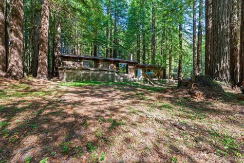 16735 Lauri Lane Occidental CA 95465