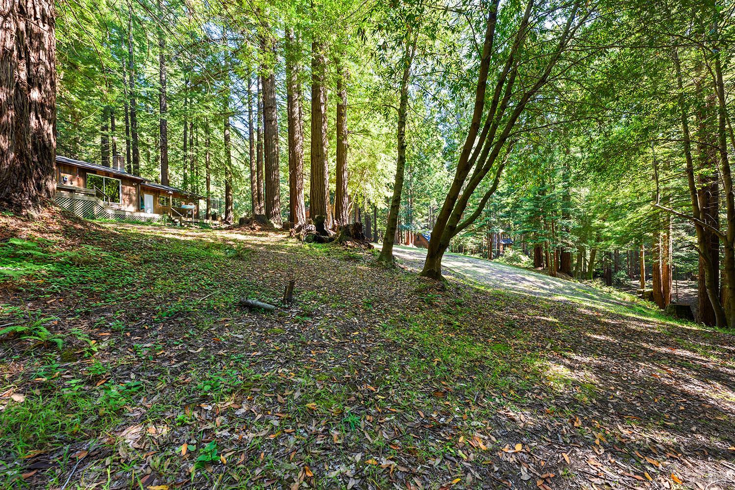 16735 Lauri Lane Occidental CA 95465