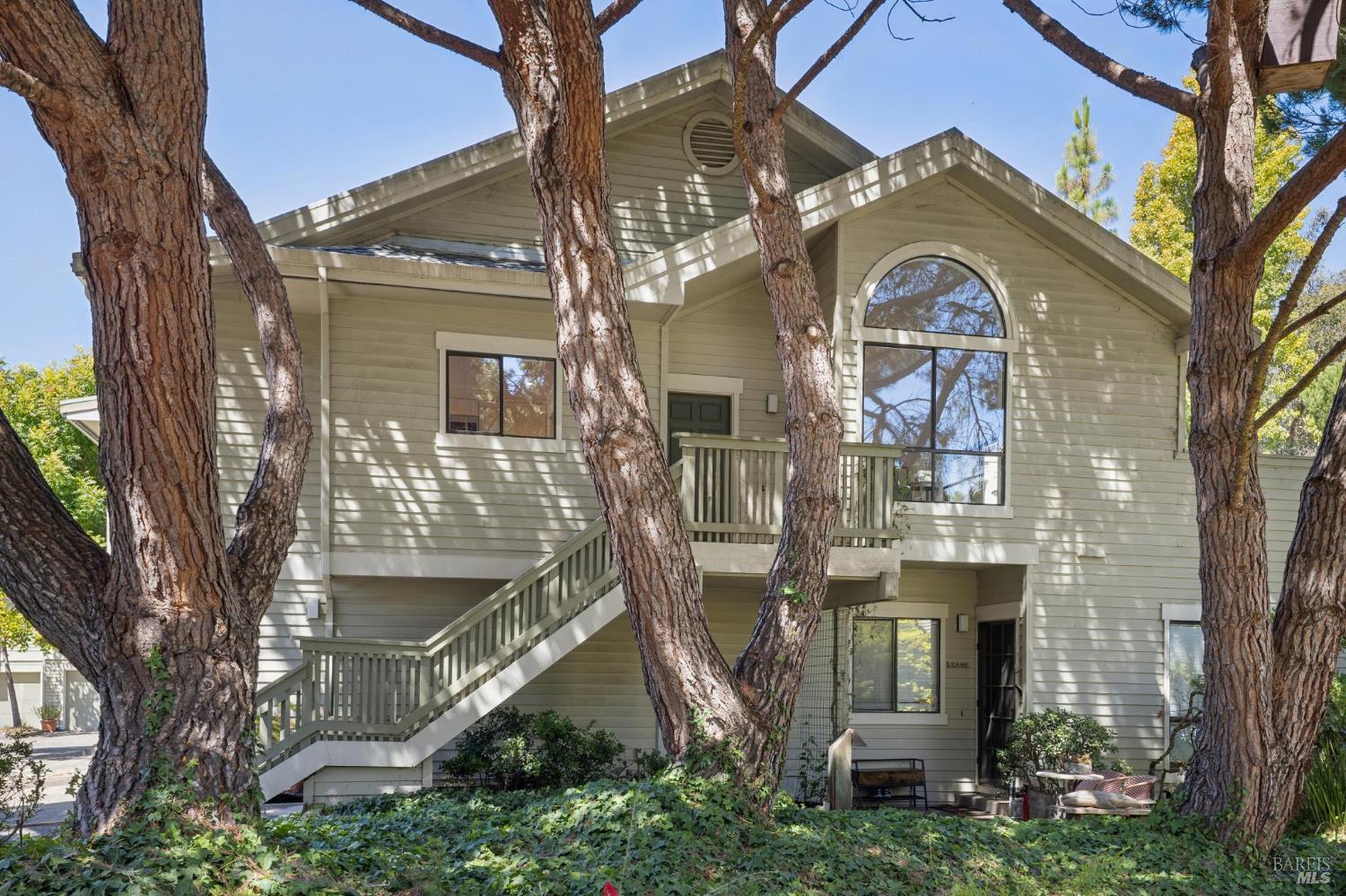 94 Eucalyptus Knoll Street Mill Valley CA 94941