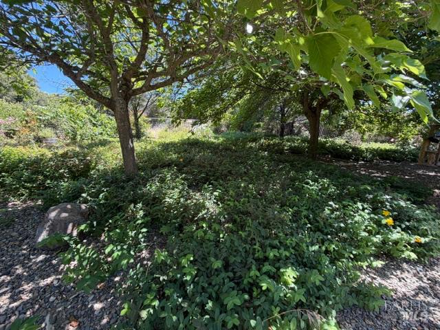 16756 Greenridge Road Hidden Valley Lake CA 95467