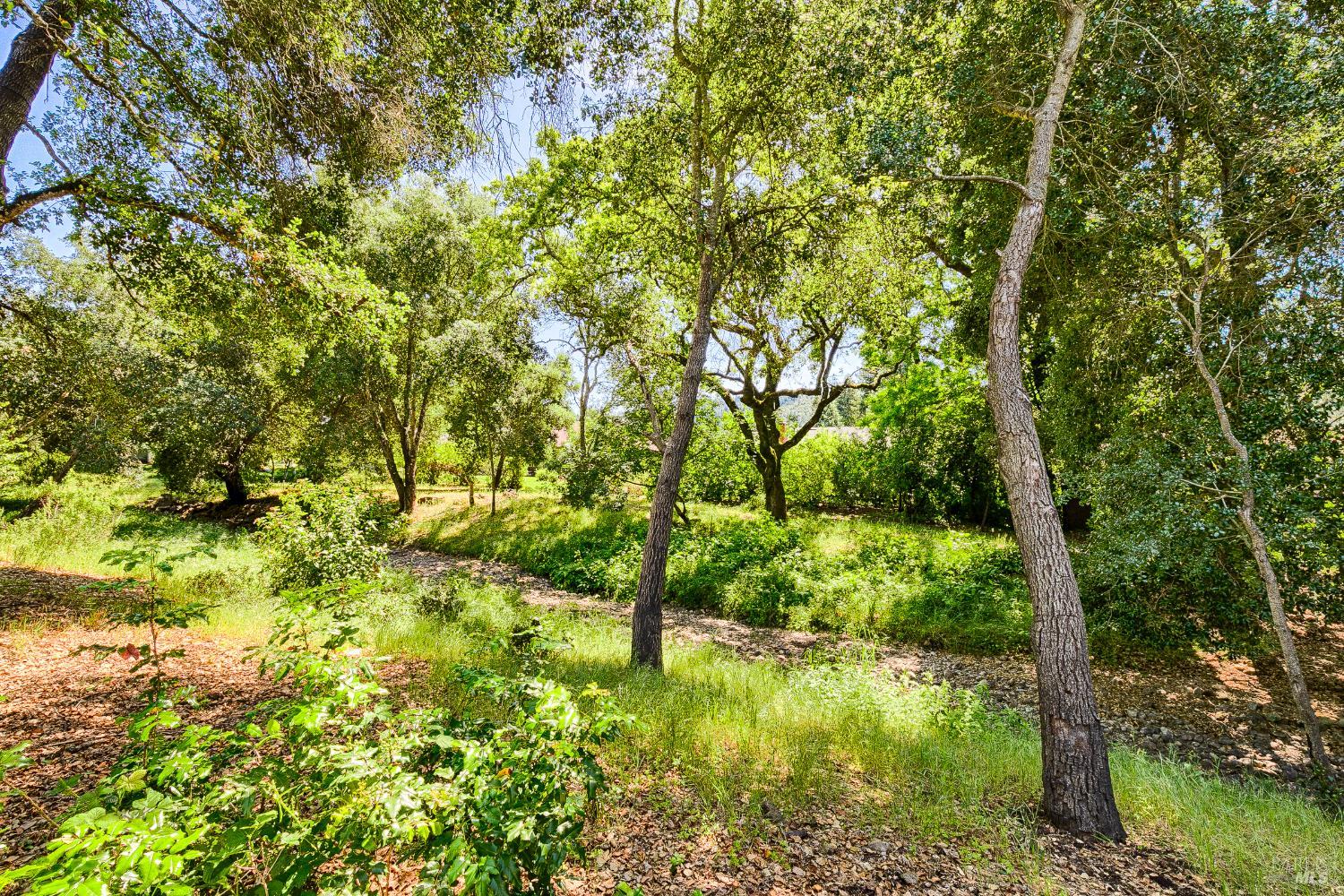 6487 Meadowridge Court Santa Rosa CA 95409
