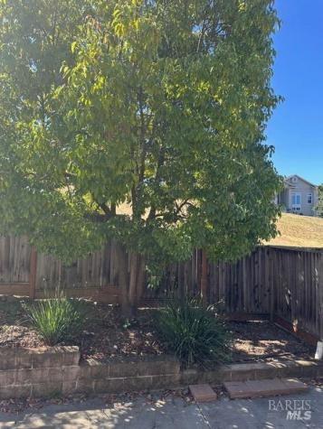 1944 Cooper Drive Santa Rosa CA 95404
