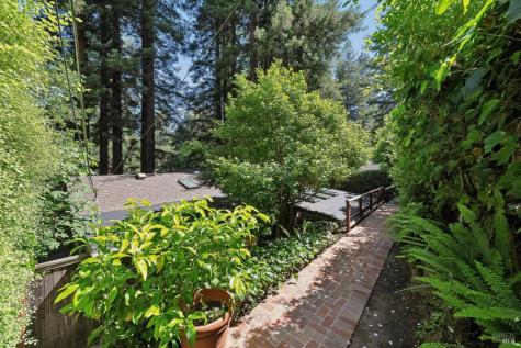 253 W Baltimore Avenue Larkspur CA 94939