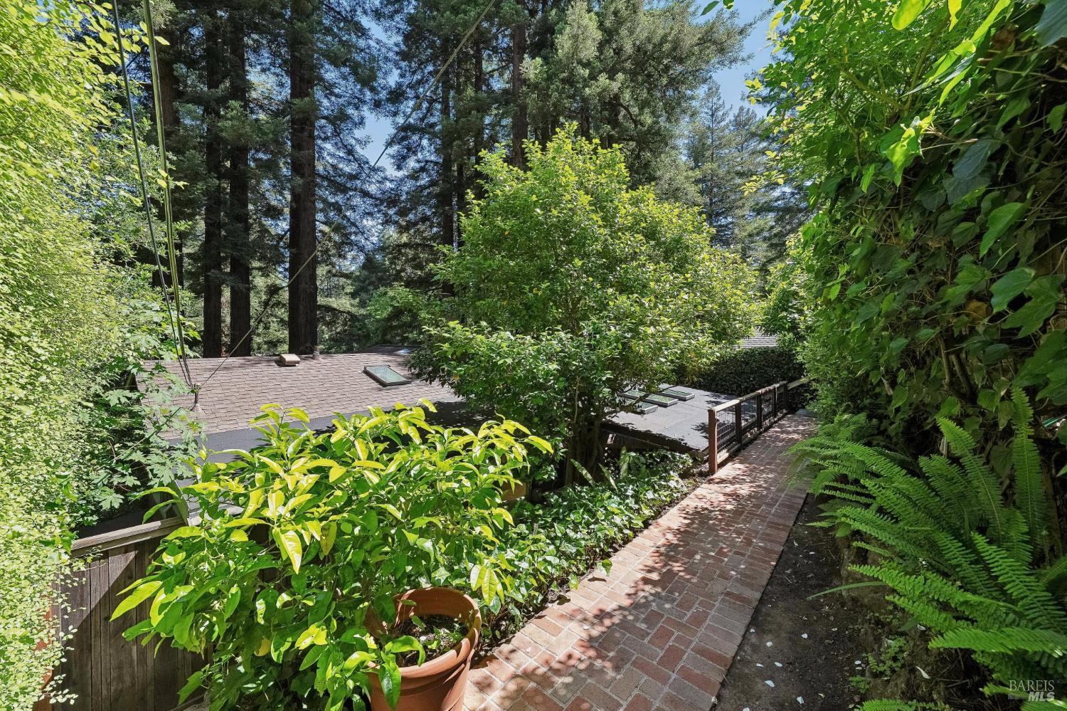 253 W Baltimore Avenue Larkspur CA 94939