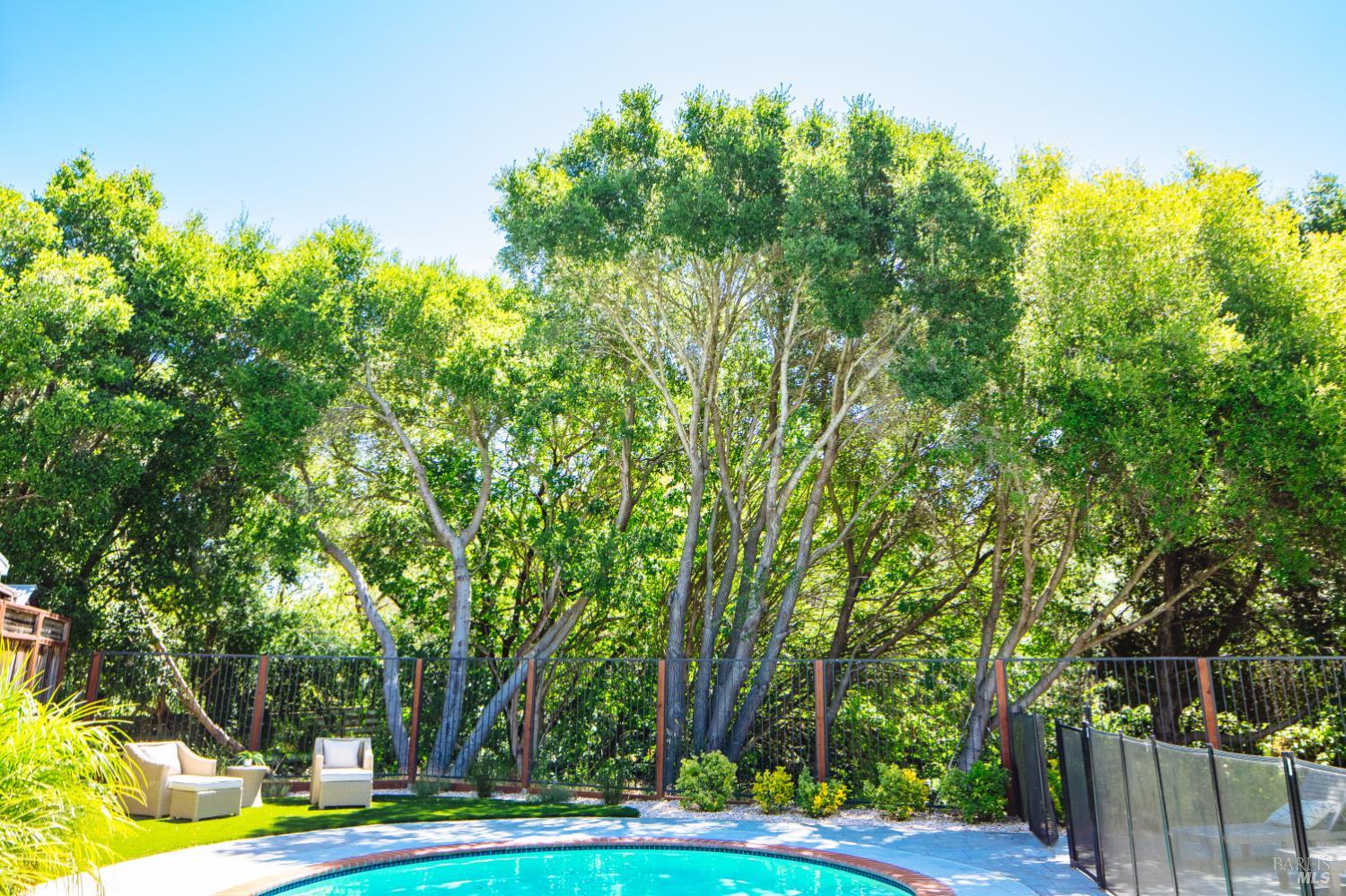 4 Spanish Bay Court Petaluma CA 94954