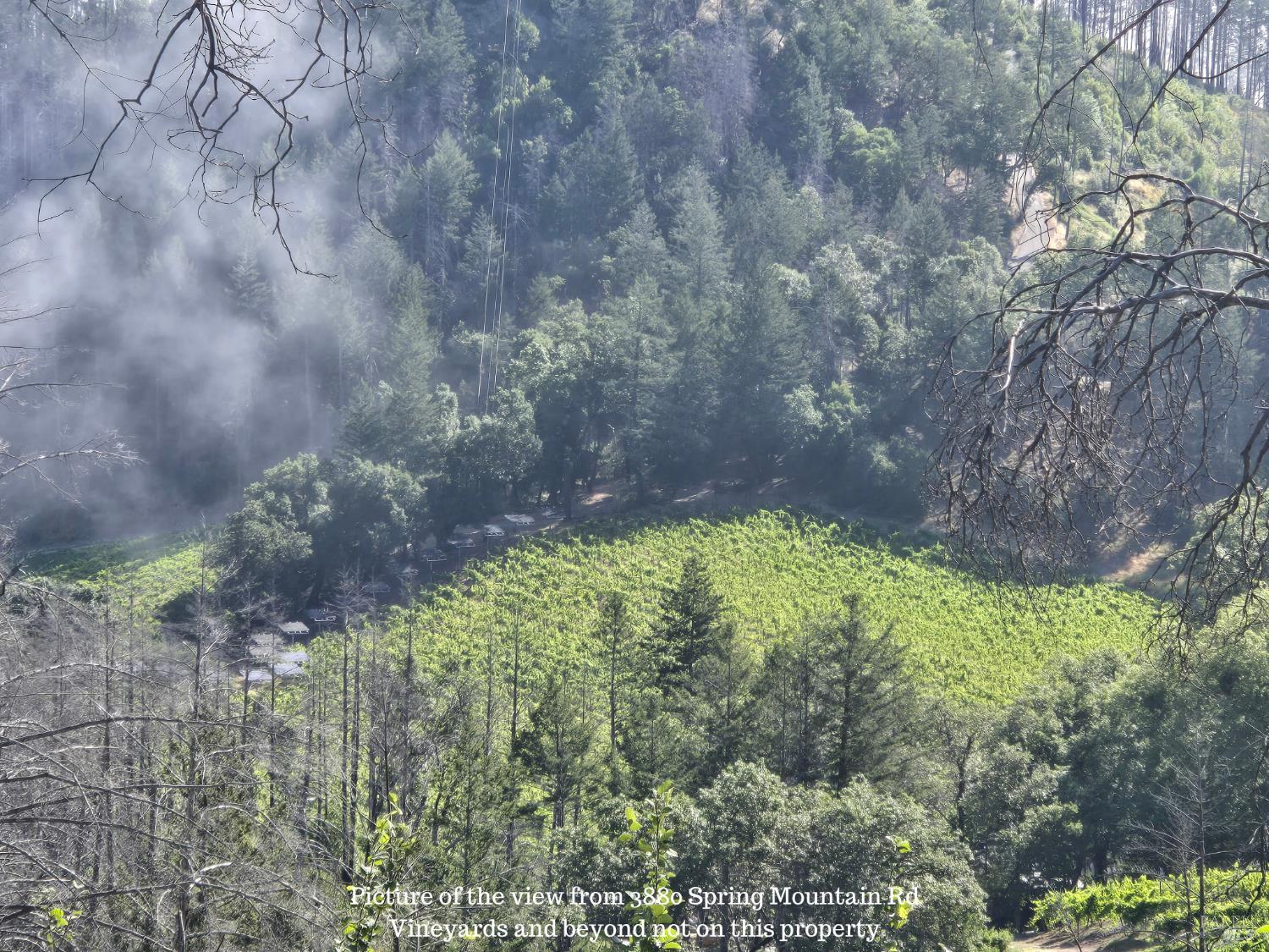 3880 Spring Mountain Road St. Helena CA 94574