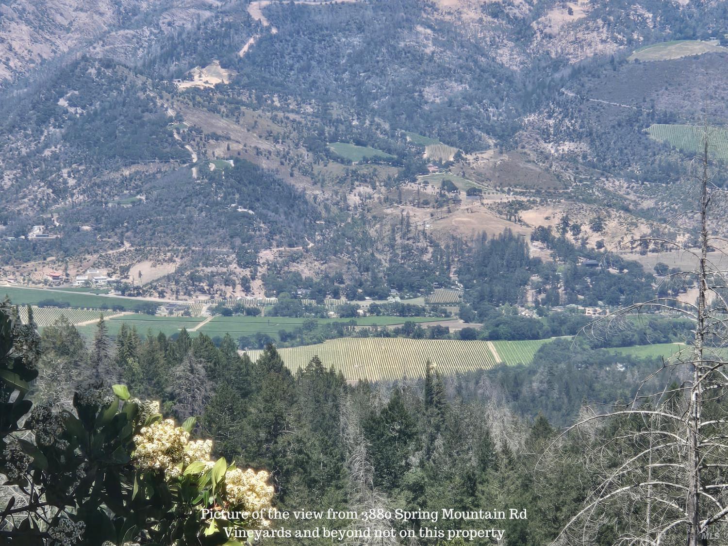 3880 Spring Mountain Road St. Helena CA 94574