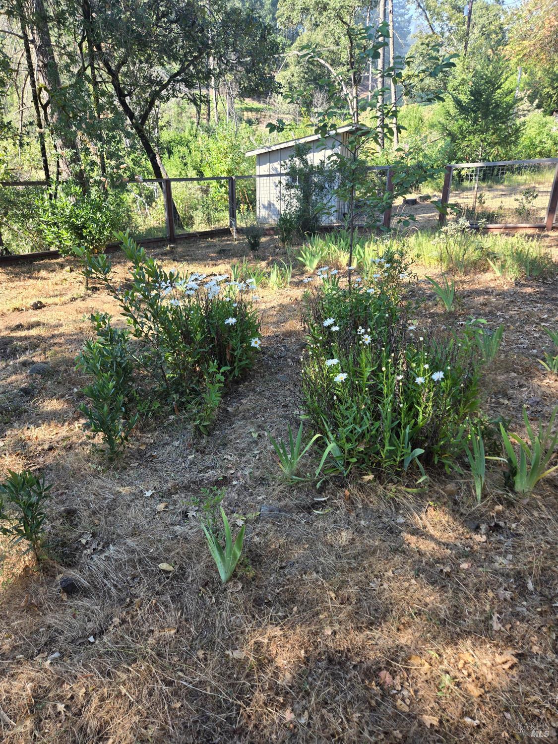 3880 Spring Mountain Road St. Helena CA 94574