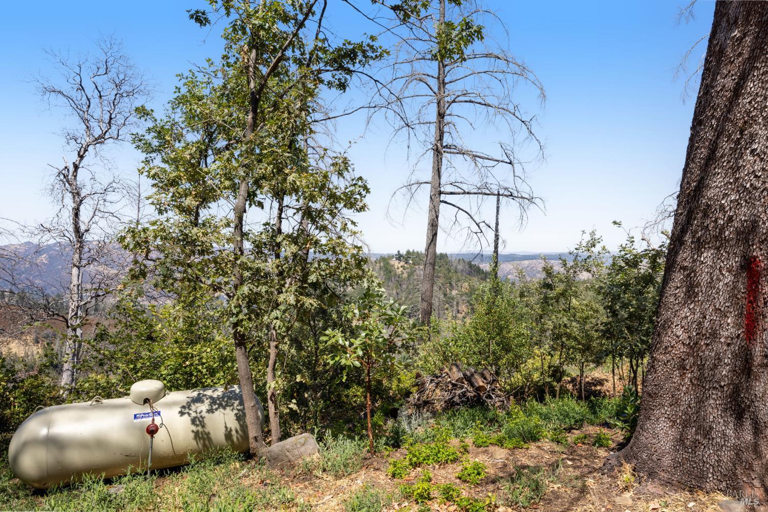3880 Spring Mountain Road St. Helena CA 94574