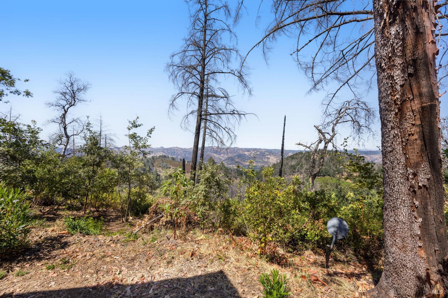 3880 Spring Mountain Road St. Helena CA 94574