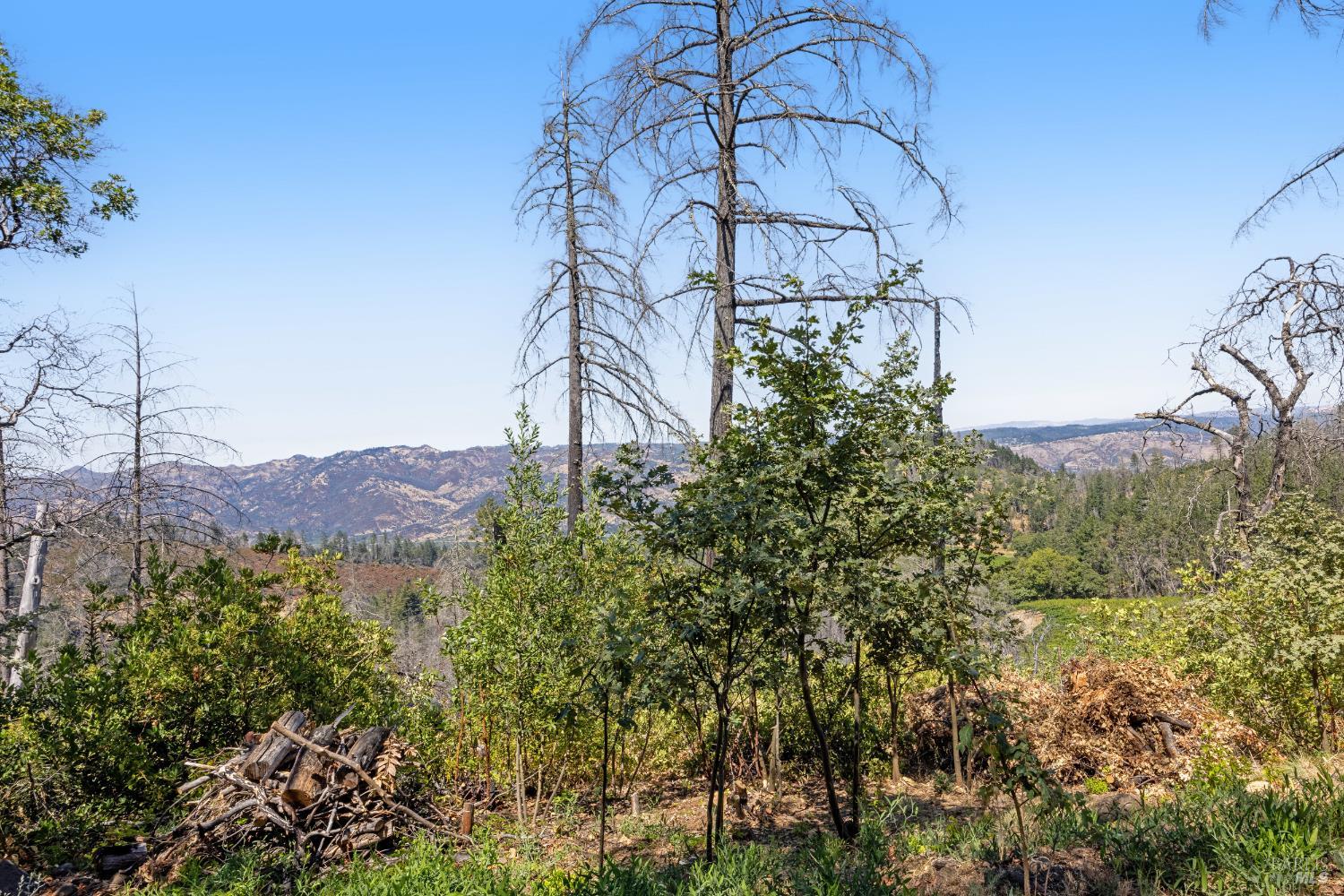 3880 Spring Mountain Road St. Helena CA 94574