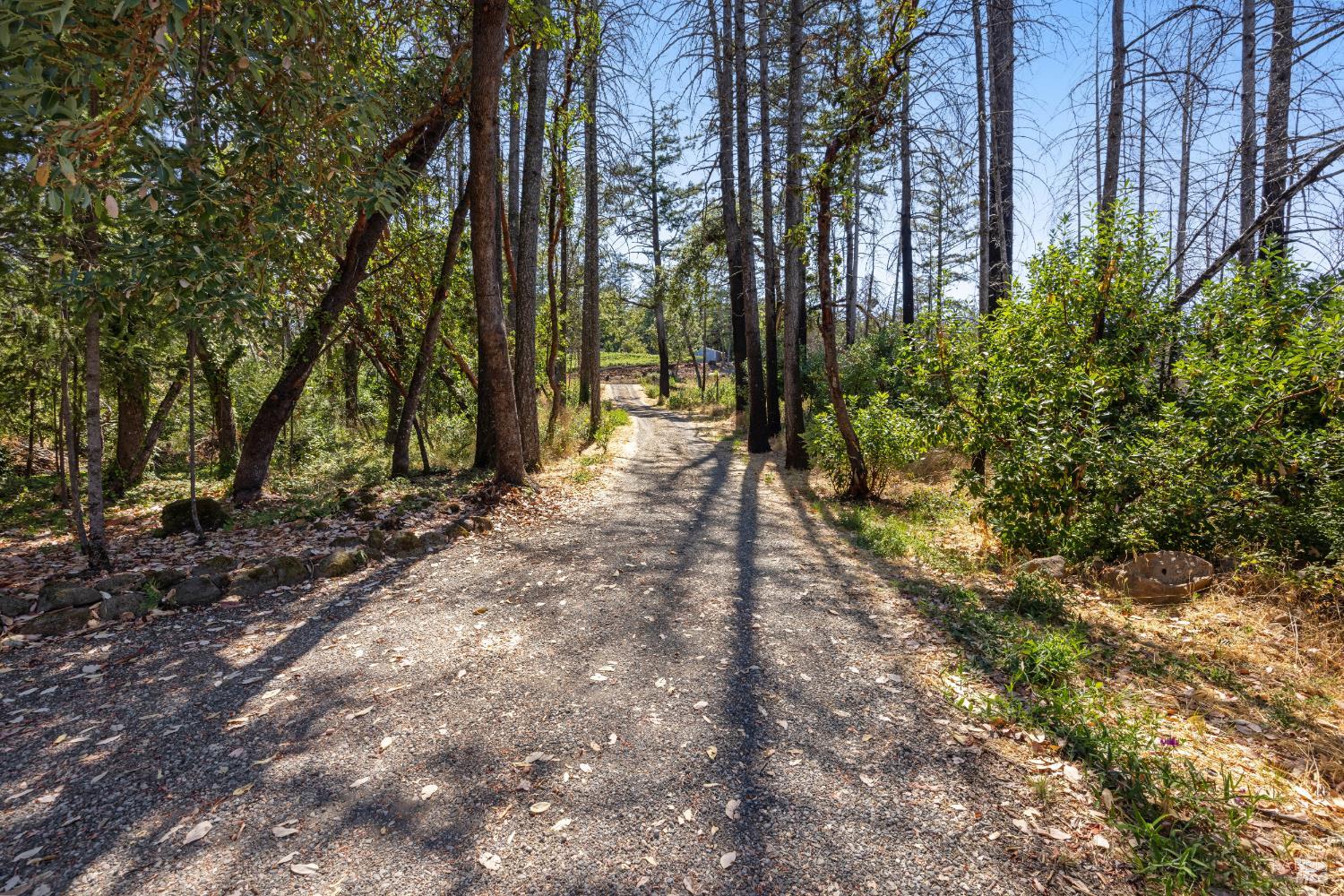 3880 Spring Mountain Road St. Helena CA 94574