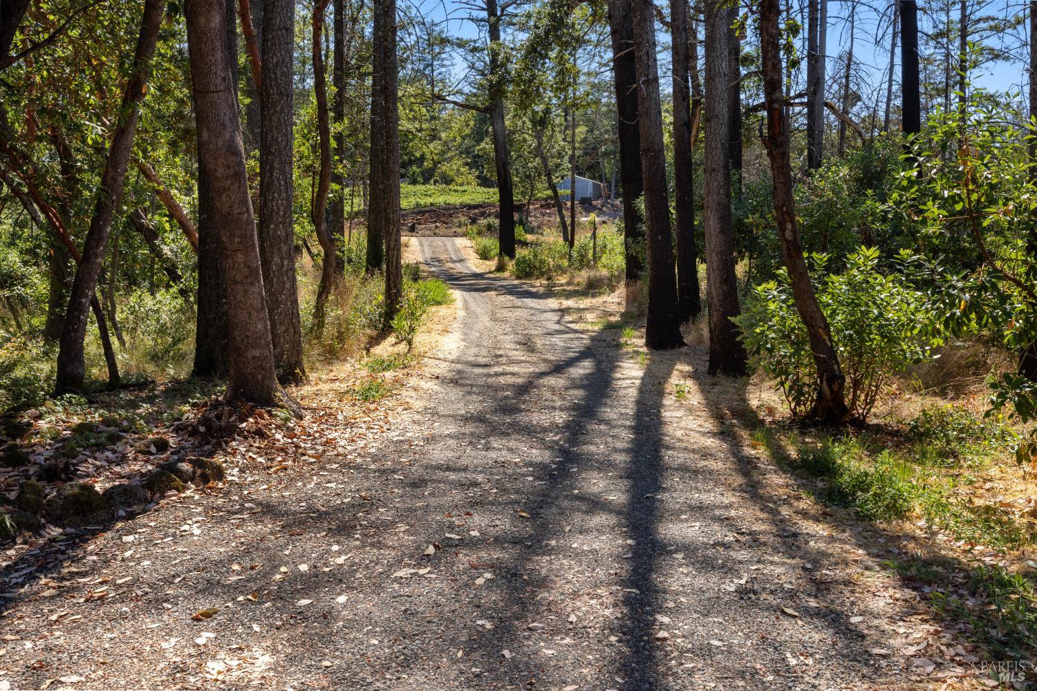 3880 Spring Mountain Road St. Helena CA 94574