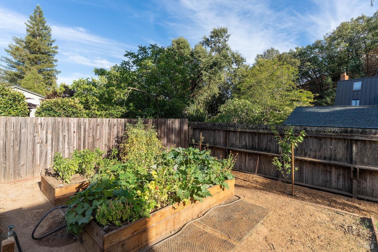 544 Redwood Avenue Ukiah CA 95482