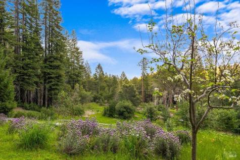 12076 Cloud Ridge Road Healdsburg CA 95448