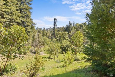 12076 Cloud Ridge Road Healdsburg CA 95448