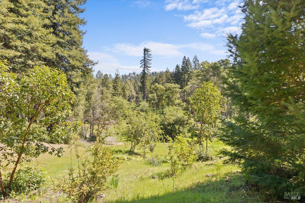 12076 Cloud Ridge Road Healdsburg CA 95448