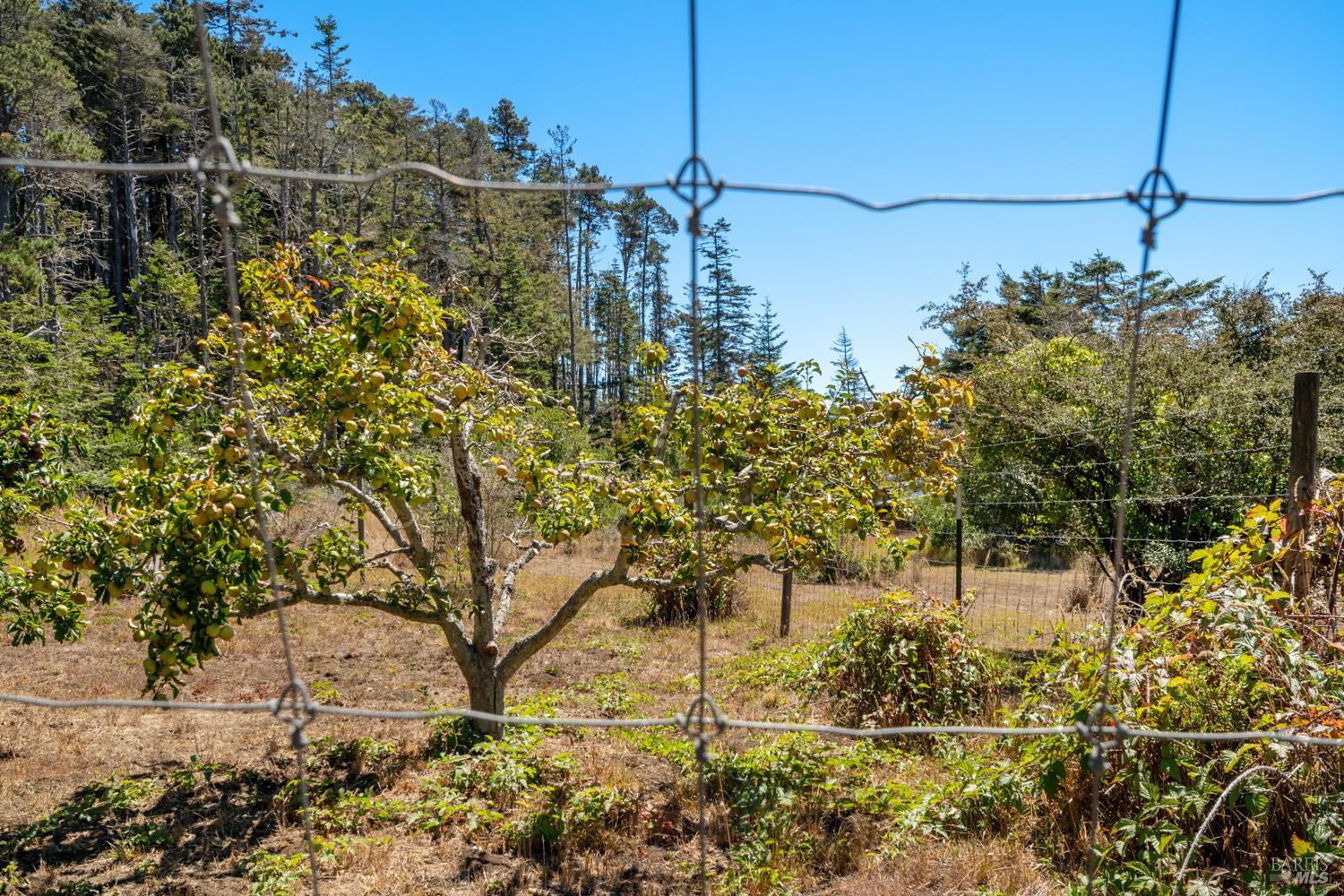 34501 S. Highway 1 Gualala CA 95445