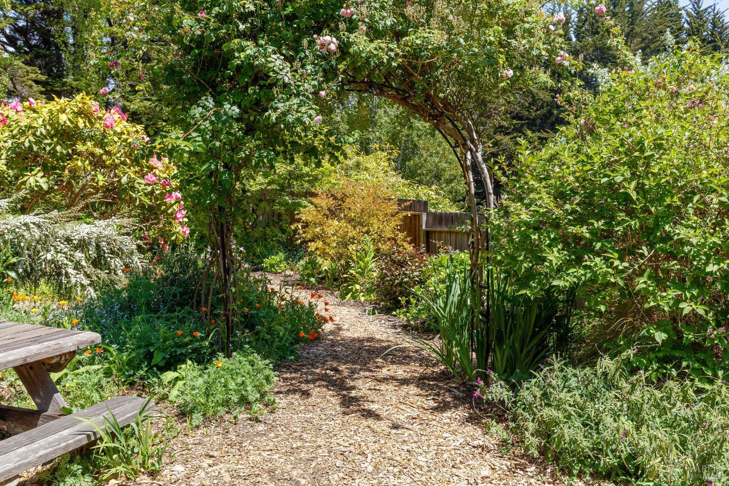 355 Chinquapin Lane The Sea Ranch CA 95497