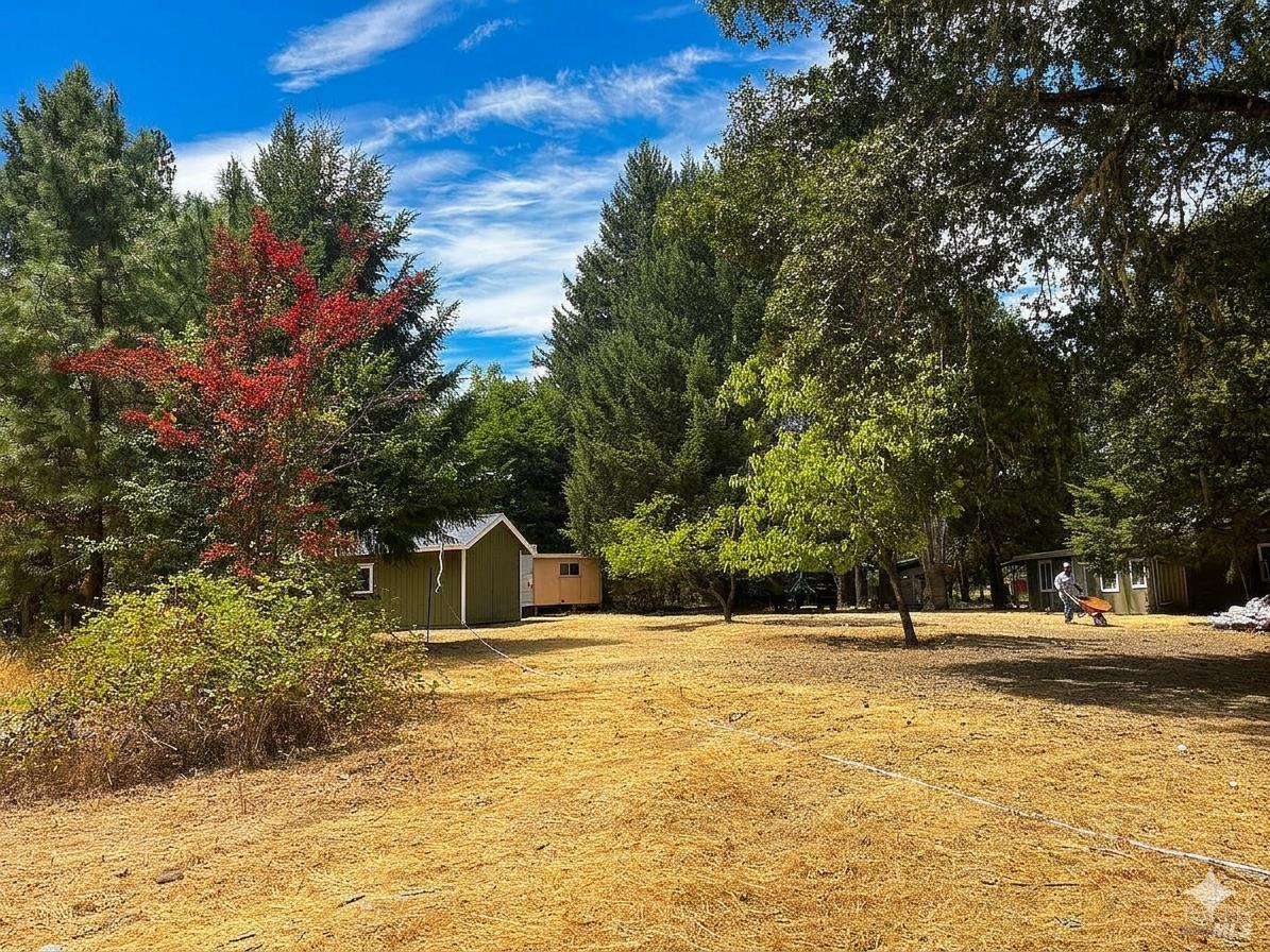 701 Branscomb Road Laytonville CA 95454