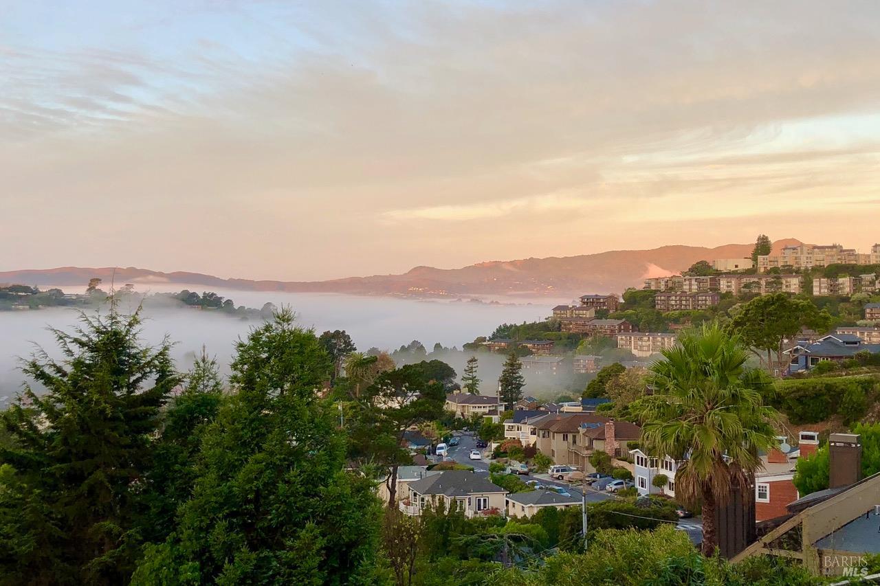 11 Saint Bernard Lane Tiburon CA 94920