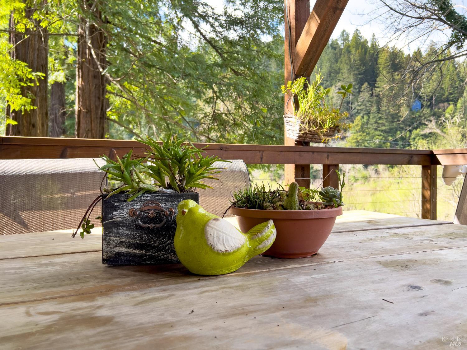16620 Guernewood Road Guerneville CA 95446