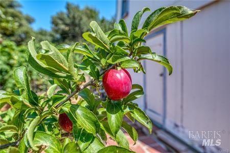 9175 Glenhaven Drive Glenhaven CA 95443