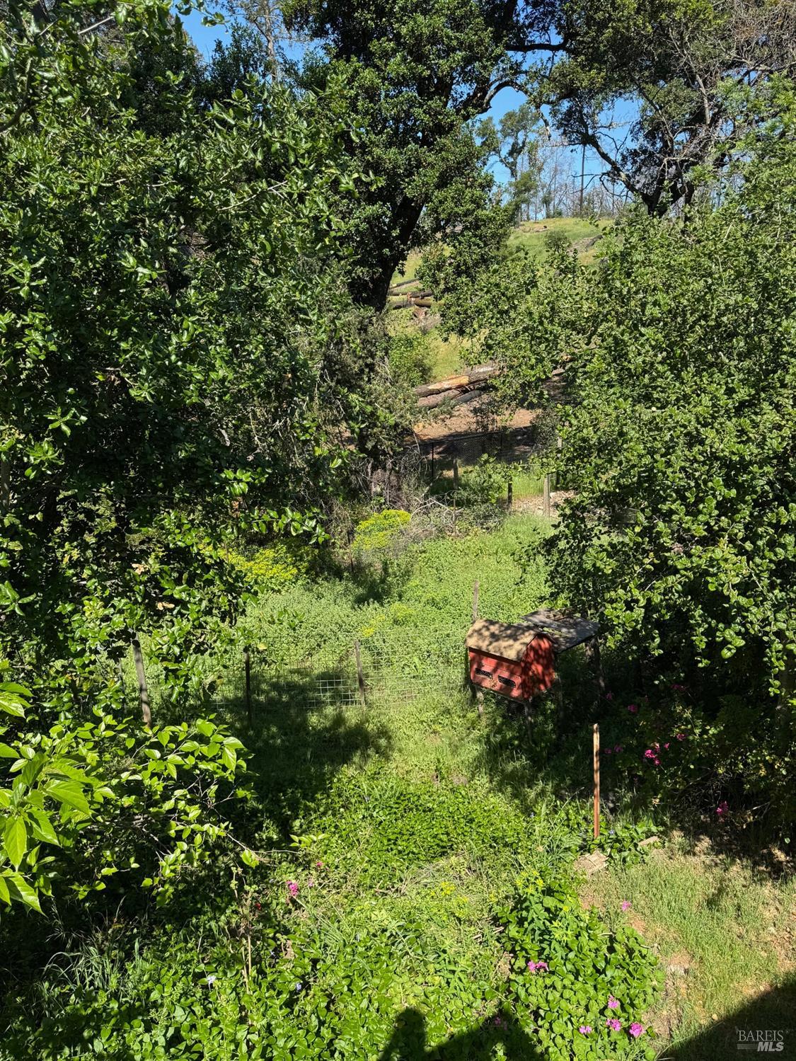 896 Sanitarium Road Deer Park CA 94576