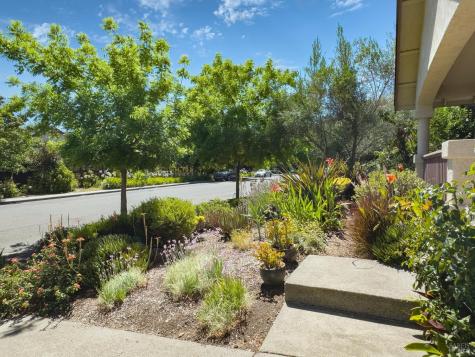 142 Clay Street Sonoma CA 95476