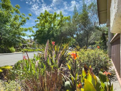 142 Clay Street Sonoma CA 95476