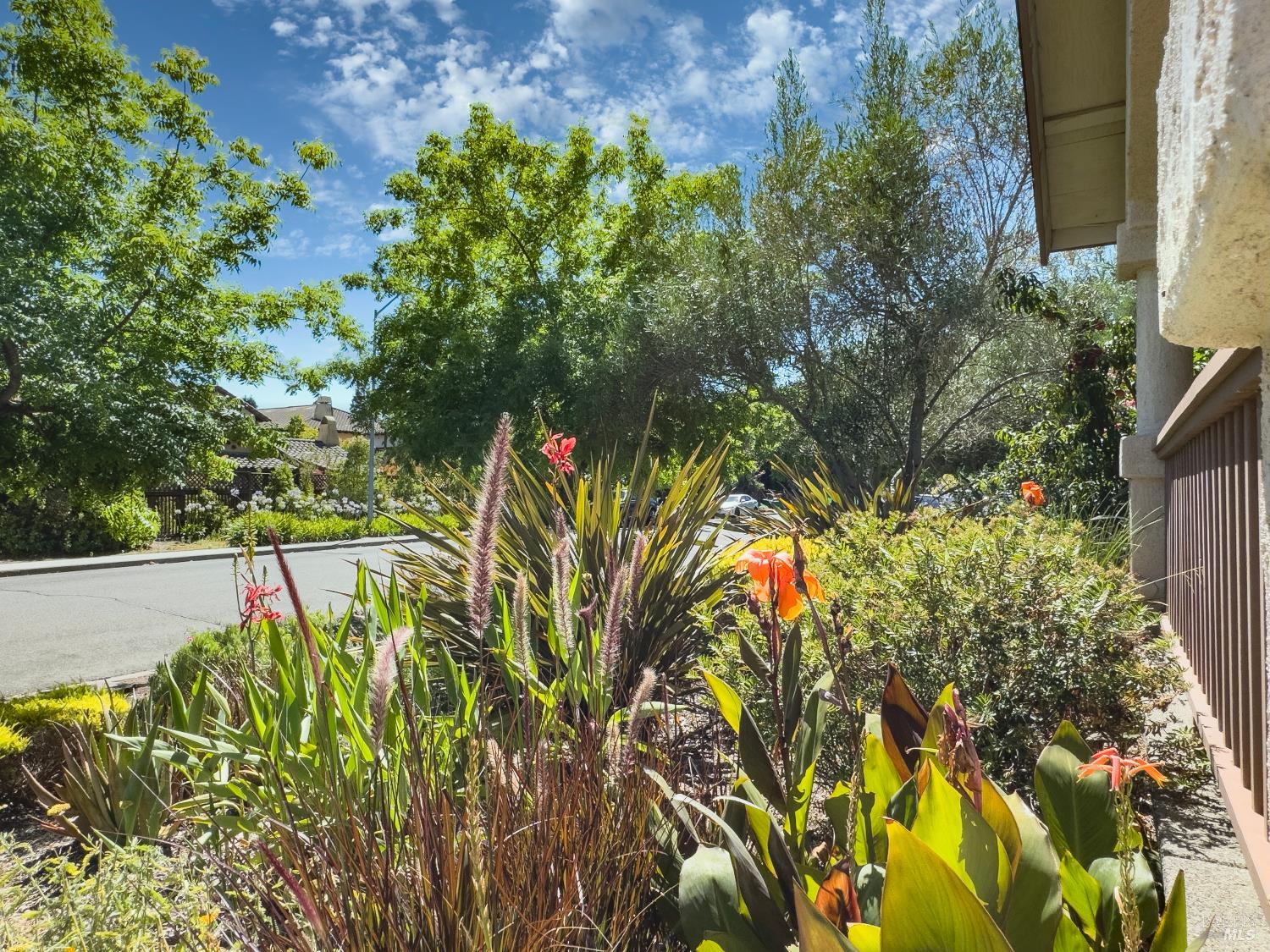 142 Clay Street Sonoma CA 95476