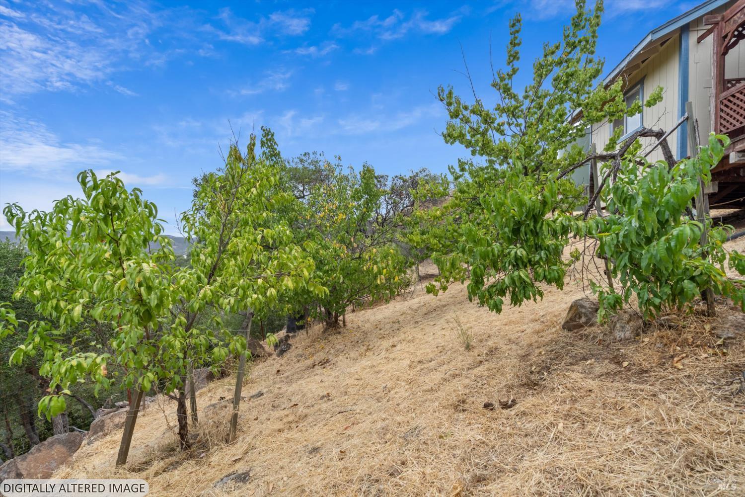 2709 Harness Drive Pope Valley CA 94567