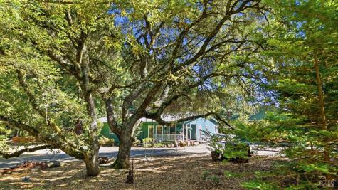 17375 Willow Creek Road Occidental CA 95465