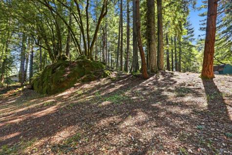 17375 Willow Creek Road Occidental CA 95465