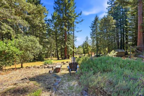 17375 Willow Creek Road Occidental CA 95465