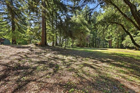 17375 Willow Creek Road Occidental CA 95465