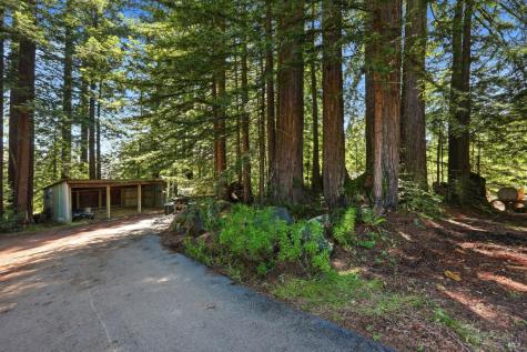 17375 Willow Creek Road Occidental CA 95465