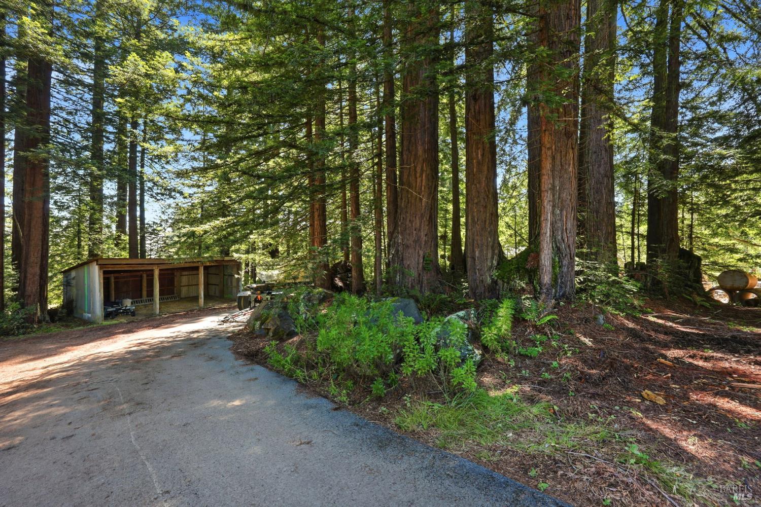 17375 Willow Creek Road Occidental CA 95465