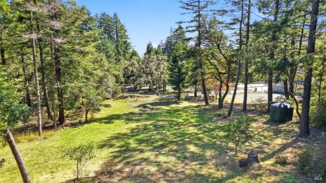17375 Willow Creek Road Occidental CA 95465