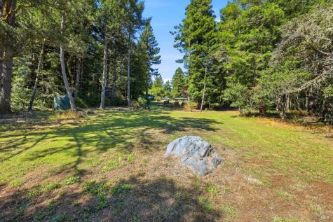 17375 Willow Creek Road Occidental CA 95465