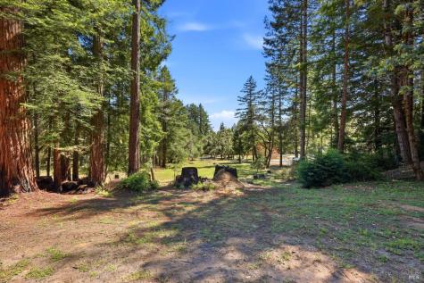 17375 Willow Creek Road Occidental CA 95465