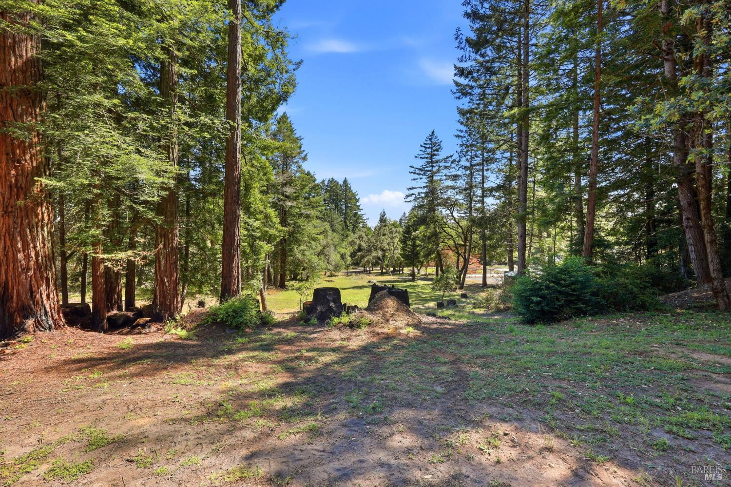 17375 Willow Creek Road Occidental CA 95465