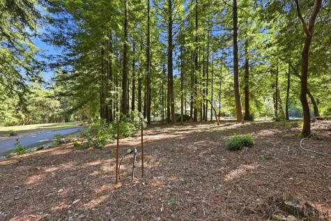 17375 Willow Creek Road Occidental CA 95465