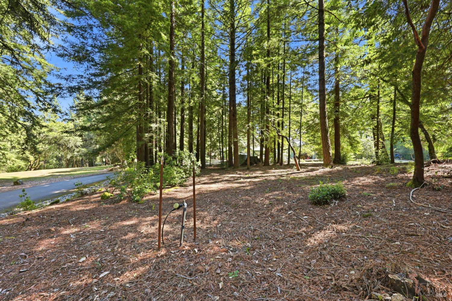 17375 Willow Creek Road Occidental CA 95465