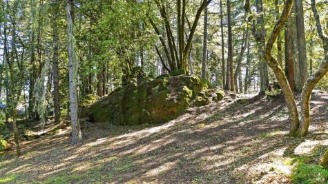 17375 Willow Creek Road Occidental CA 95465