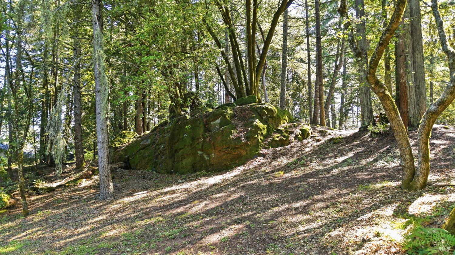 17375 Willow Creek Road Occidental CA 95465