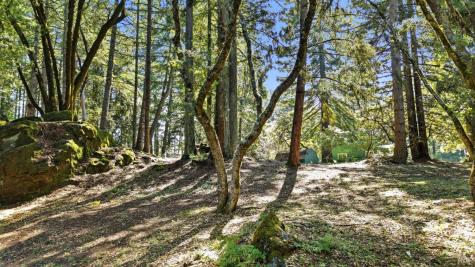 17375 Willow Creek Road Occidental CA 95465