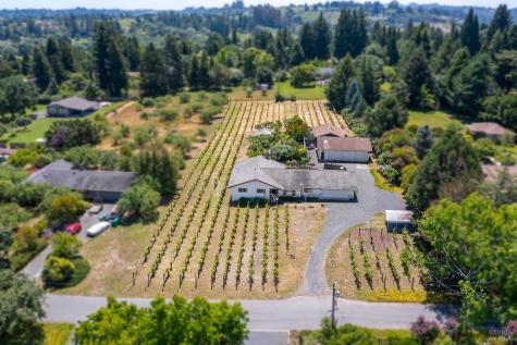 9275 Ferguson Court Sebastopol CA 95472