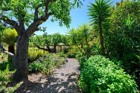 9275 Ferguson Court Sebastopol CA 95472