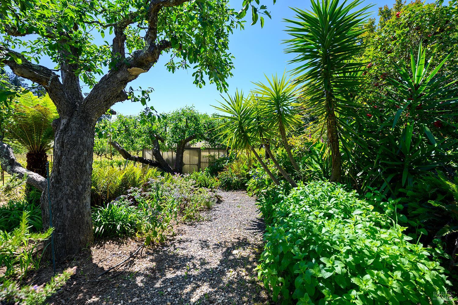 9275 Ferguson Court Sebastopol CA 95472